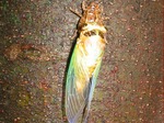 IMG_4180.jpg