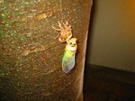 IMG_4181.jpg